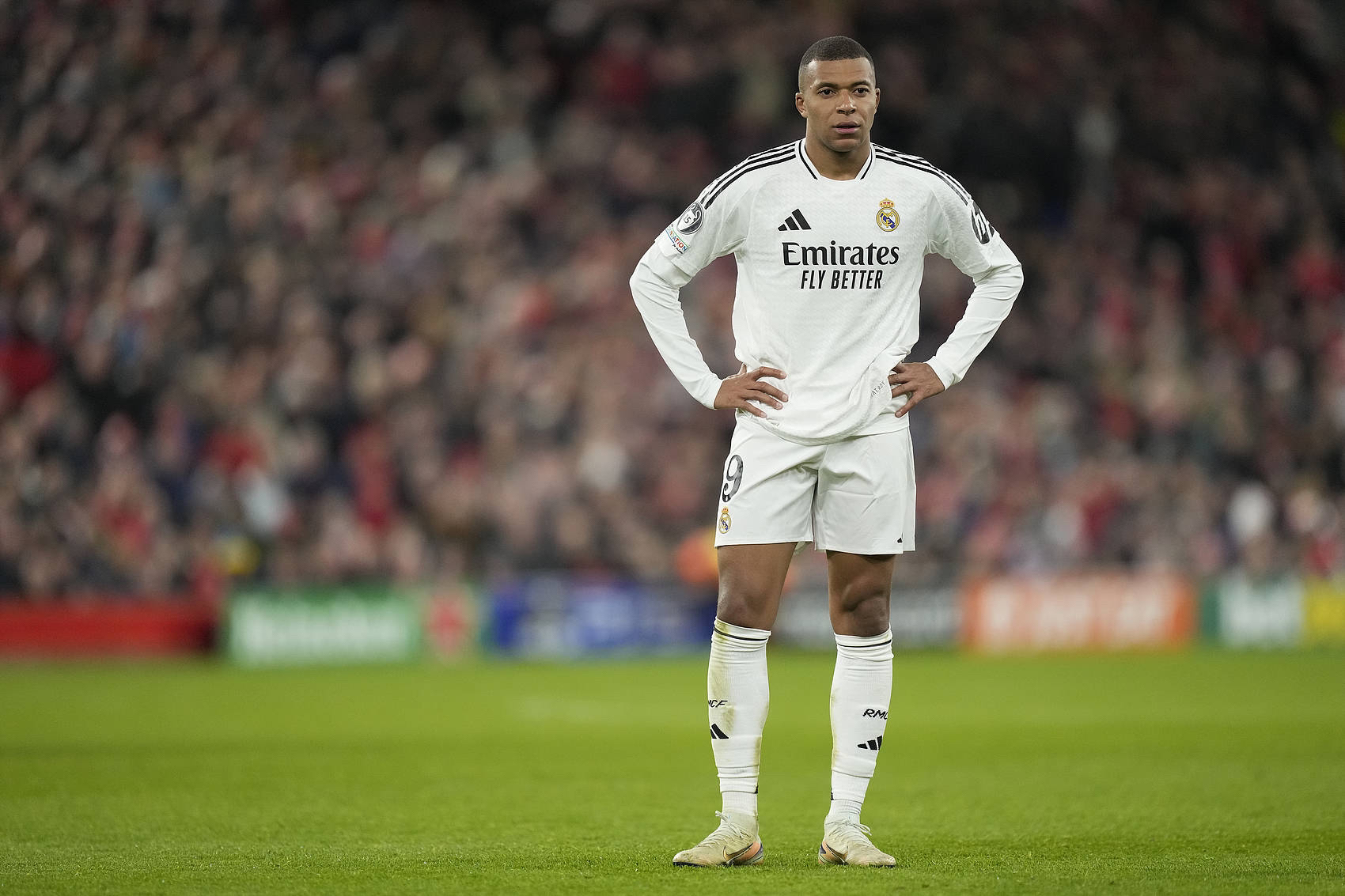 PEL新赛季赛程发布