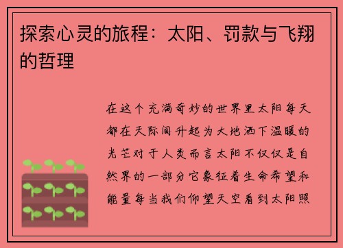 探索心灵的旅程：太阳、罚款与飞翔的哲理